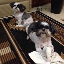 Rascal and Skooder Kelly Before and after pictures! Rascal and Skooder Kelly Before and after pictures!