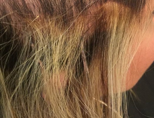 SoHo Atelier by null