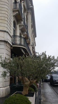 Four Seasons Hotel des Bergues Geneva by null