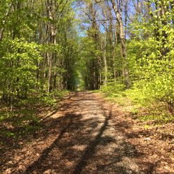 Stadtwanderweg 6 - Wunderschön so ein Frühlingssonntagsspaziergang ...