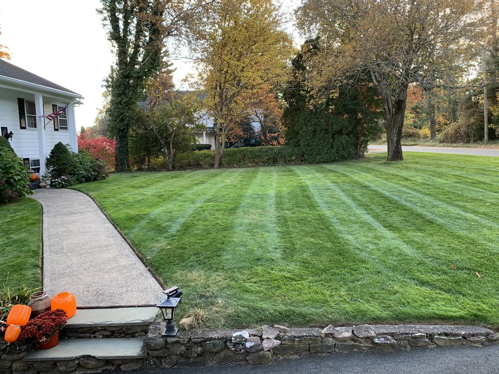 H&E Landscape Service - tree service in New Haven, CT
