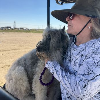 Tail Waggers and Wash - Cessna carting on the gold cart during nationals. - Pet Groomers Near Me - Cheyenne, Wyoming Tail Waggers and Wash - Cessna carting on the gold cart during nationals. - Pet Groomers Near Me - Cheyenne, Wyoming
