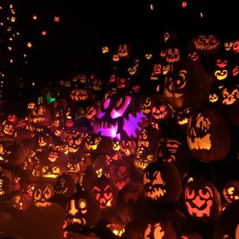 Minnesota Zoo - Amazing to see all the pumpkins! - Zoos Near Me - Apple Valley, Minnesota Minnesota Zoo - Amazing to see all the pumpkins! - Zoos Near Me - Apple Valley, Minnesota