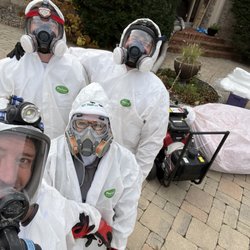 Bat Free Batproofing and Attic Restoration - Bat Free professionally restores attics as well.  We remove the bats and then deal with the aftermath.  Get the varmint gone!