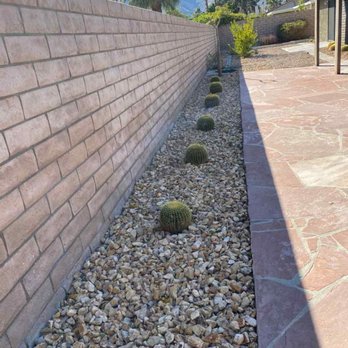 Gonzalez Landscape & Tree Service - a brick wall with cacti - Landscaping Near Me Gonzalez Landscape & Tree Service - a brick wall with cacti - Landscaping Near Me