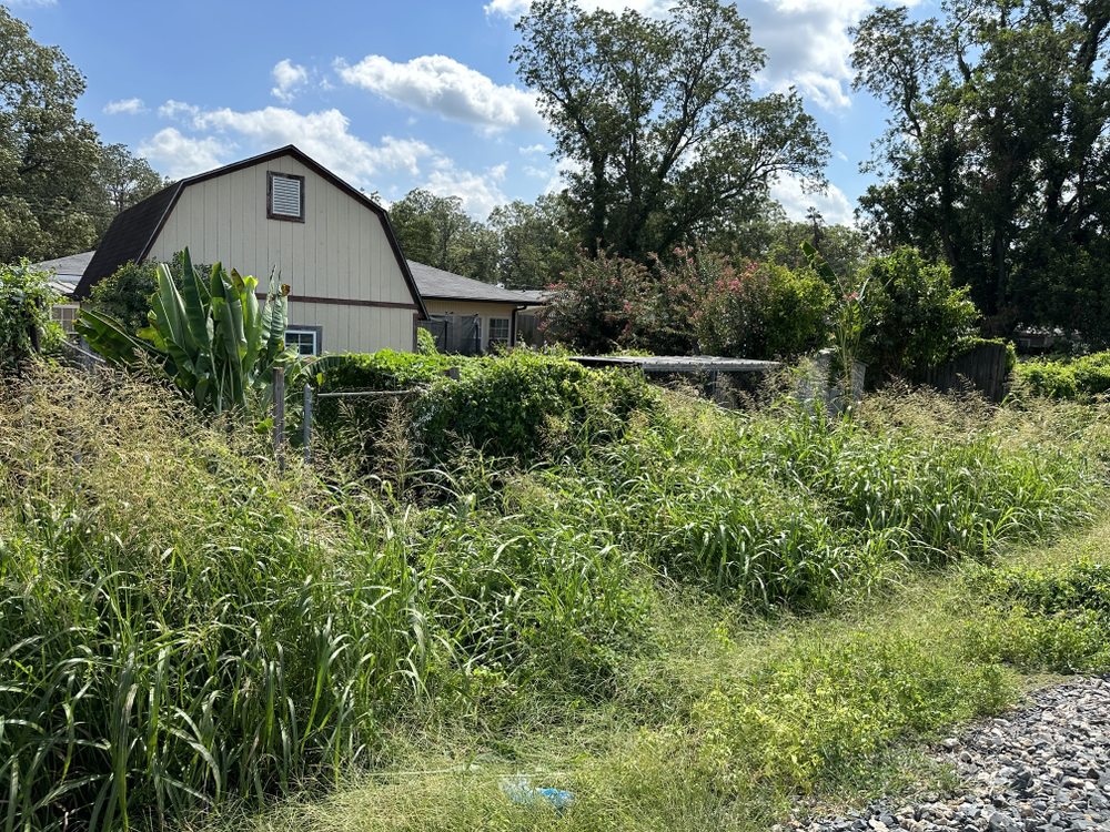 Slide of Rooftop Restoration