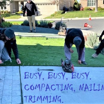 Bella Turf and Greens - Artificial Turf Near Me - Lodi, California Bella Turf and Greens - Artificial Turf Near Me - Lodi, California