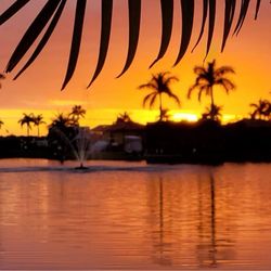 Myakka River Motorcoach Resort - The most beautiful sunsets.
