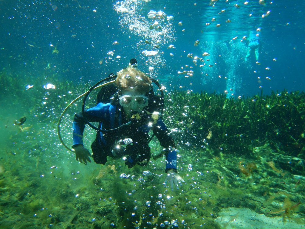 Scuba Lynn’s RV Adventures - equestrian in Ormond Beach, FL