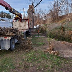 Custom Tree Service - This is the property that had 25+ trees to remove in all.