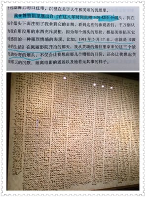 The Museum of Innocence by null