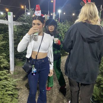 Bambi's Christmas Tree Land - Cider/cocoa cup sippin down a tree lane - Nurseries & Gardening Near Me - Roseville, California