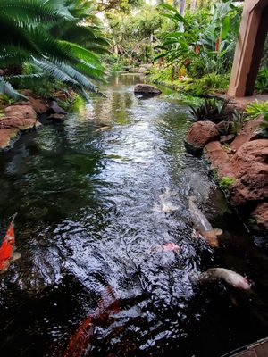 Four Seasons Resort Lanai by null