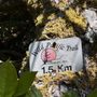 Photo of Wild Pacific Trail