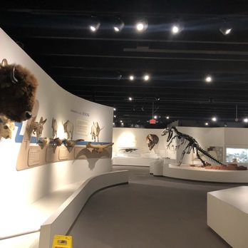 Panhandle-Plains Historical Museum - Museums Near Me - Canyon, Texas