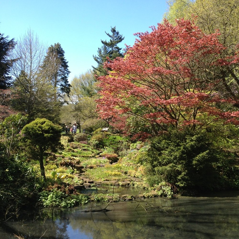 Winterbourne House and Garden - Botanical Gardens Near Me - Birmingham, XWM