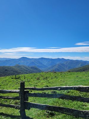 The Swag by null The Swag by null