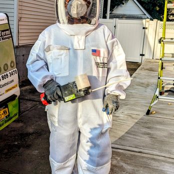 Citi Termite Control - Pest Control Near Me - Jamaica, New York Citi Termite Control - Pest Control Near Me - Jamaica, New York
