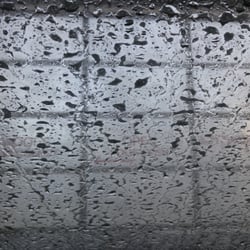 Westside Car Wash - Foam party