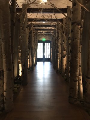 Cedar Creek Spa & Salon by null