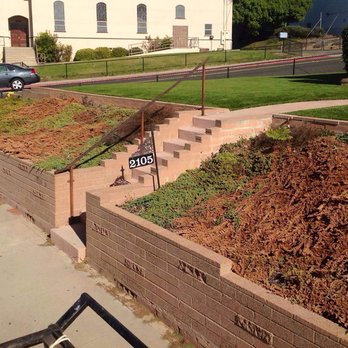 High Five Yard Care - Cypress ground cover clean our, before picture - Gardeners Near Me High Five Yard Care - Cypress ground cover clean our, before picture - Gardeners Near Me
