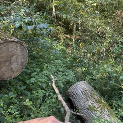 Otter Creek Recreation - Where is the path