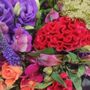 Photo of Isle Of Flowers