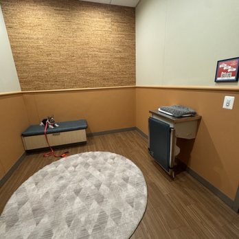 Urgent Animal Care of Arlington - Veterinarians Near Me - Arlington, Virginia Urgent Animal Care of Arlington - Veterinarians Near Me - Arlington, Virginia