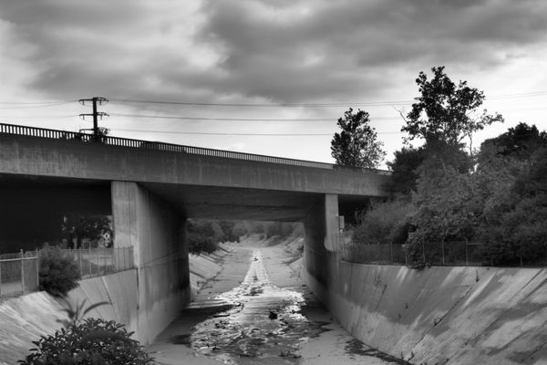 New York Institute of Photography by null