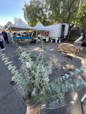 Brentwood Farmers Market by null