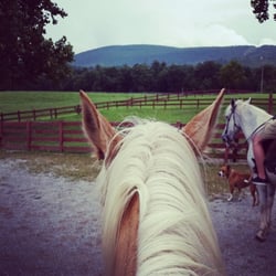 Wildwood Stable - Beginning of the ride