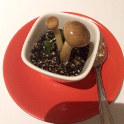 Amuse