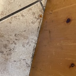 Black, sticky mess all over kitchen Black, sticky mess all over kitchen