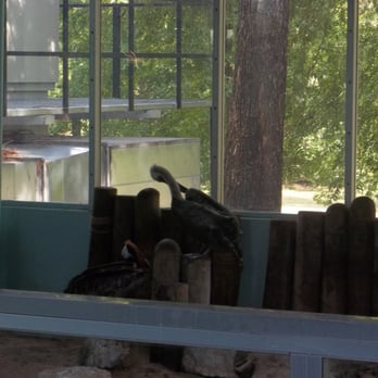 Tulsa Zoo - Zoos Near Me - Tulsa, Oklahoma