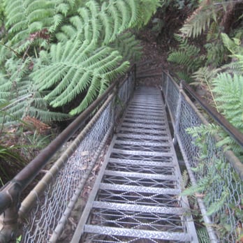 The Three Sisters - Its a lot of stairs..trust me - Parks Near Me - Katoomba, NSW The Three Sisters - Its a lot of stairs..trust me - Parks Near Me - Katoomba, NSW