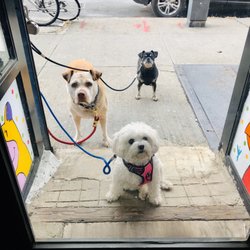 Slope Pet Food Supplies - Squad goals