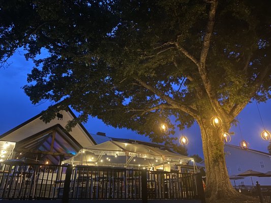 Black Sheep Restaurant by null