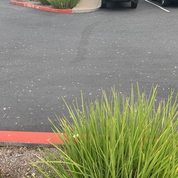 SpringHill Suites by Marriott Napa Valley - Run for your life - There's bird crap EVERYWHERE & ON EVERYTHING. - Hotels Near Me - Napa, California