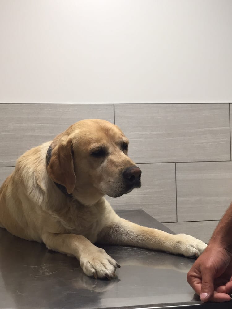 MILLARD WEST VETERINARY CLINIC Updated September 2024 17935 Welch