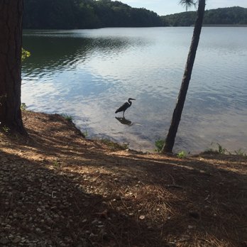 Stone Mountain Campground - Campgrounds Near Me - Stone Mountain, Georgia Stone Mountain Campground - Campgrounds Near Me - Stone Mountain, Georgia