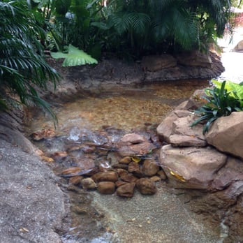 Discovery Cove - Amusement Parks Near Me - Orlando, Florida