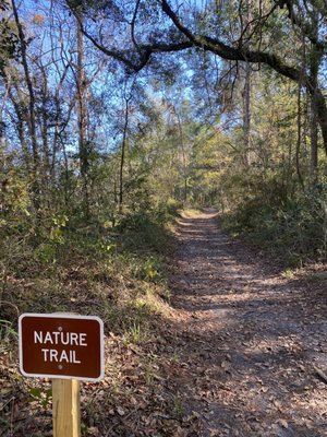 Madison Blue Spring State Park by null