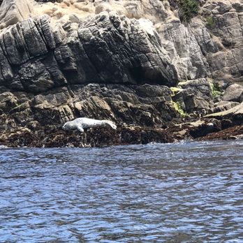 Pacific Grove Adventures - Tours Near Me - Pacific Grove, California Pacific Grove Adventures - Tours Near Me - Pacific Grove, California