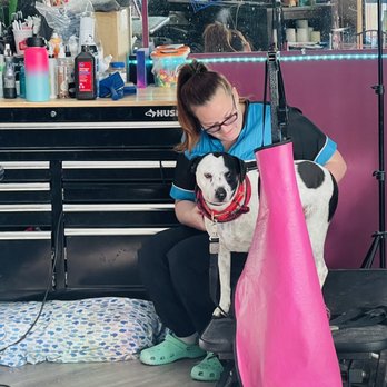 Meggo's Gentle Grooming - Nail trim on a high strung cutie pie - Pet Groomers Near Me - Centennial, Colorado Meggo's Gentle Grooming - Nail trim on a high strung cutie pie - Pet Groomers Near Me - Centennial, Colorado