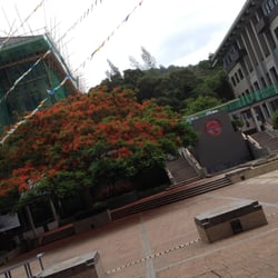 嶺南大學