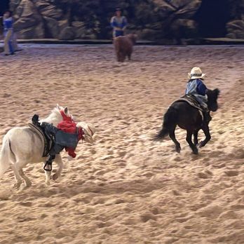 Dolly Parton's Stampede - Performing Arts Near Me - Pigeon Forge, Tennessee