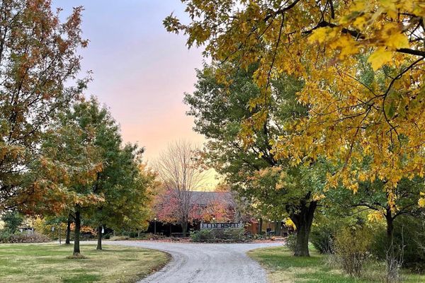 Elderslie Farm by null