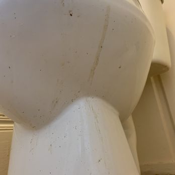 Perfect Polished Maids - Feces dripping from toilet bowl - Home Cleaning Near Me - Los Angeles, California Perfect Polished Maids - Feces dripping from toilet bowl - Home Cleaning Near Me - Los Angeles, California
