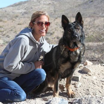 Photos By Kc Rego - Pet Photography Near Me Photos By Kc Rego - Pet Photography Near Me
