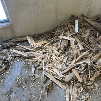 All Ways Restoration - Damage Restoration Near Me - Austin, Texas All Ways Restoration - Damage Restoration Near Me - Austin, Texas